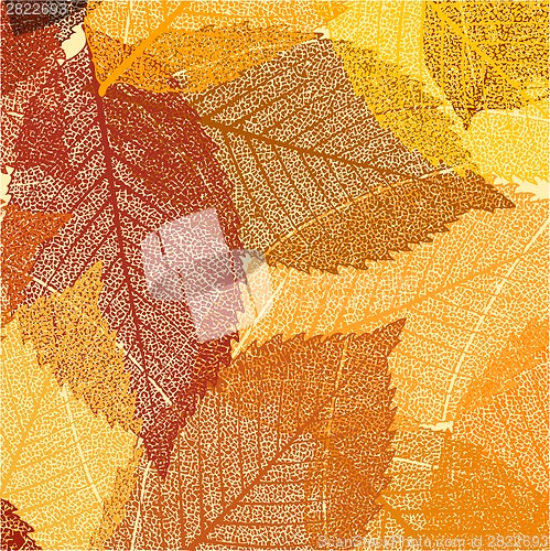 Image of Dry autumn leaves template. EPS 8