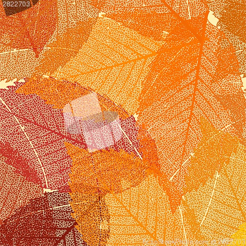 Image of Dry autumn leaves template. EPS 8