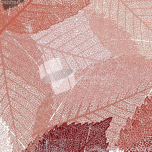 Image of Dry autumn leaves template. EPS 8