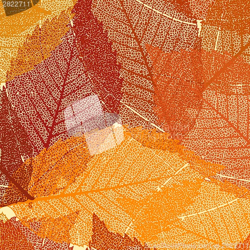 Image of Dry autumn leaves template. EPS 8