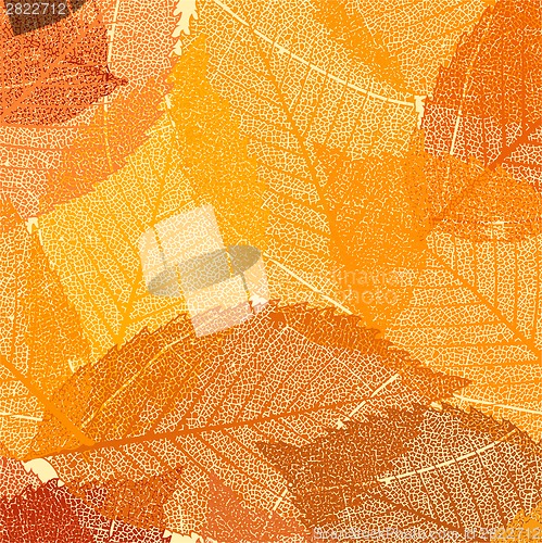 Image of Dry autumn leaves template. EPS 8