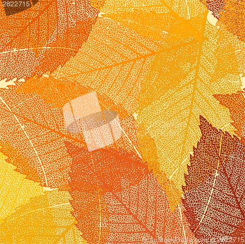 Image of Dry autumn leaves template. EPS 8