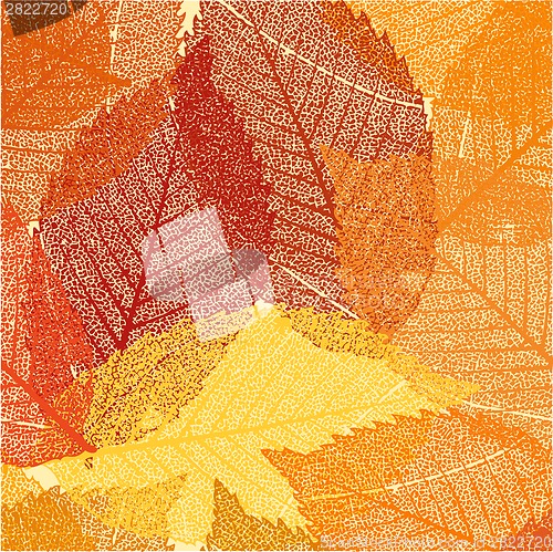 Image of Dry autumn leaves template. EPS 8