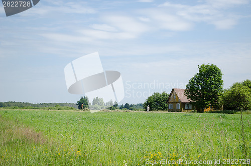 Image of Couple of farm peasants people rake dry grass 