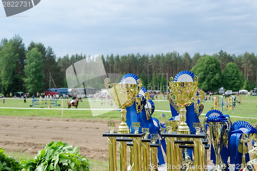 Image of Horse racing cups awards prepared for winners 