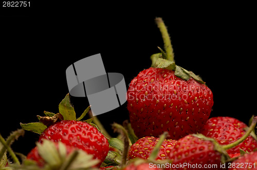 Image of Strawberries