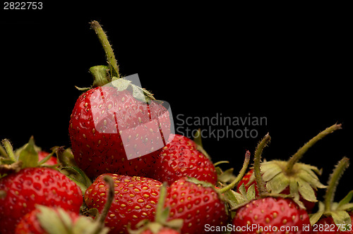 Image of Strawberries