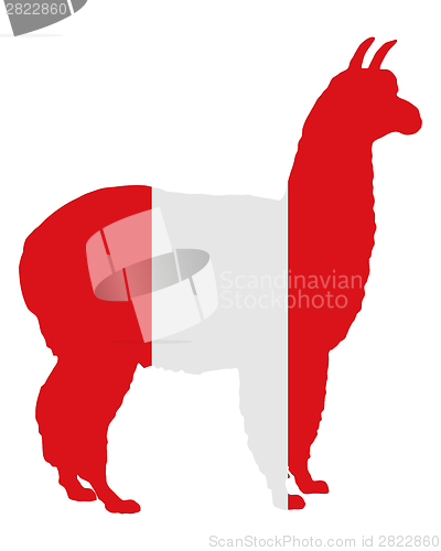 Image of Peruvian alpaca