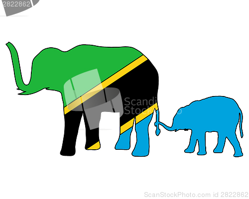 Image of Tanzania elephants