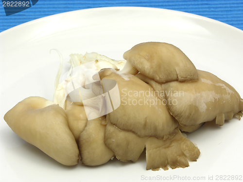 Image of Oyster mushrooms on a white plate of chinaware