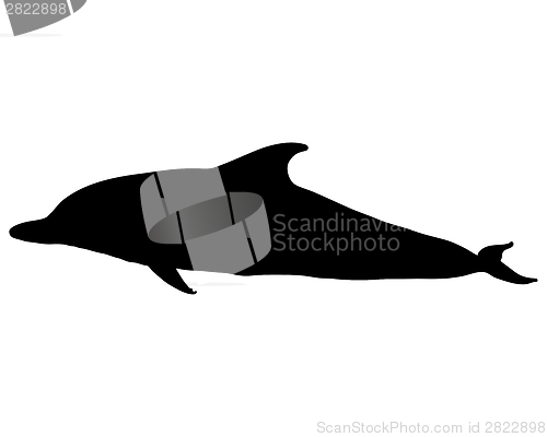 Image of Dolphin silhouette