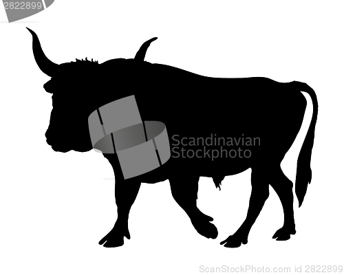 Image of Aurochs shown in form of a black silhouette