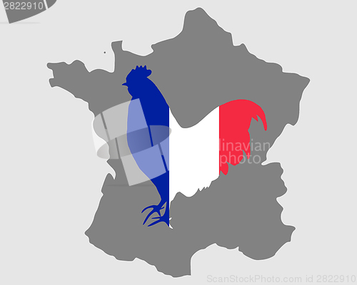 Image of French cock