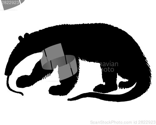 Image of Anteater Silhouette