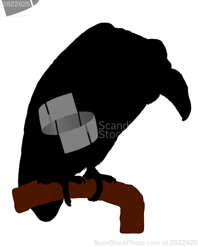 Image of Vulture