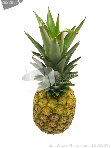 Image of One sweet  pineapple isolated on white background