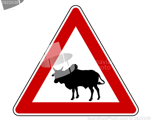 Image of Zebu warning sign