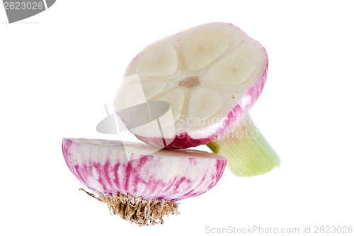 Image of Fresh garlic isolated on white background