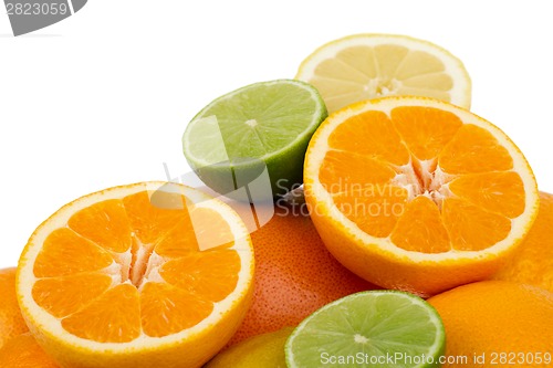 Image of Colorful Citrus Fruits