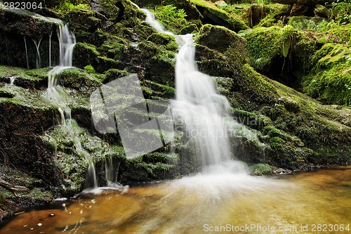 Image of Waterfall from ravine