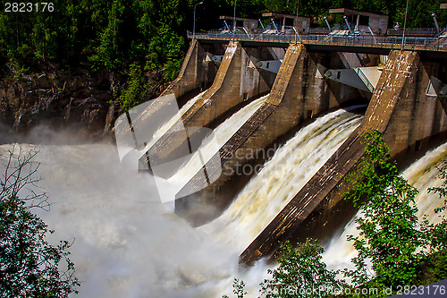 Image of water plant