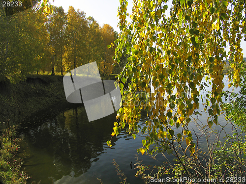 Image of Autumn view of lake and forest