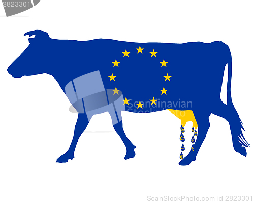 Image of European milk subsidies 