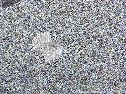 Image of Background picture as close-up view on poppy seeds