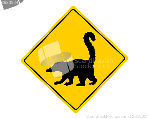 Image of Coati warning sign