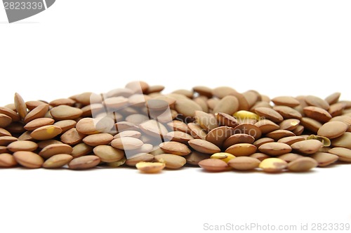 Image of Lentils on white