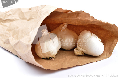 Image of Vegetables in paper bag