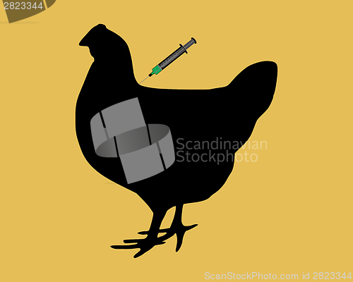 Image of Hen gets an immunization against bird flu on light brown background