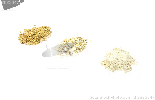 Image of Oat