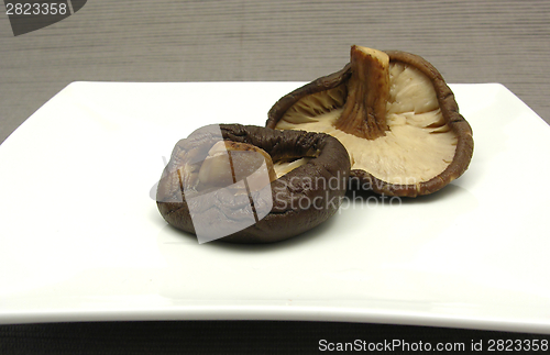 Image of Shiitake on white plate and gray background