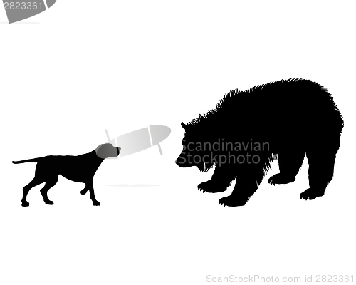 Image of Two animals, setter and grizzly bear meet face to face