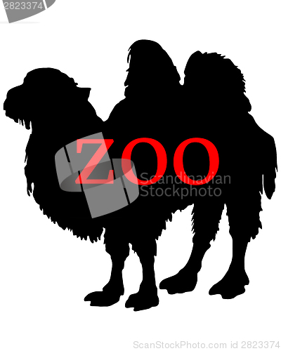 Image of Zoo animals