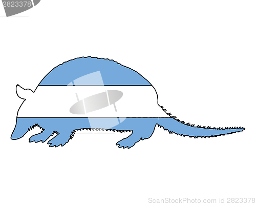 Image of Armadillo Argentina