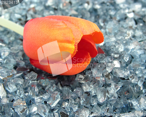 Image of plastic tulip on glitter