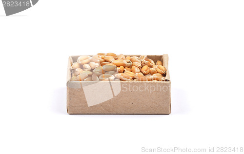 Image of Wheat on white
