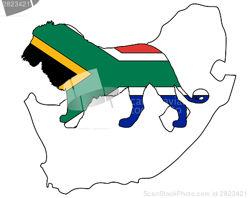Image of Lion South Africa
