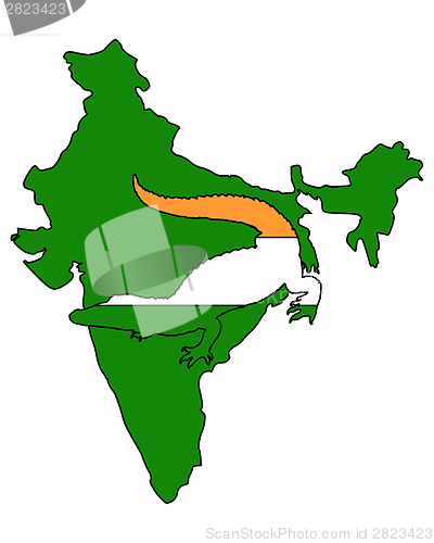 Image of Crocodile India