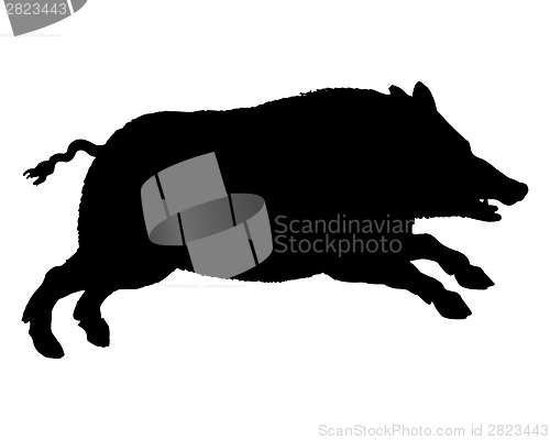 Image of The black silhouette of a running wild pig on white
