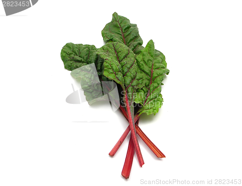 Image of Four red stemmed chard leaves crossed on white background