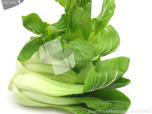 Image of Pak choi arranged on a white background