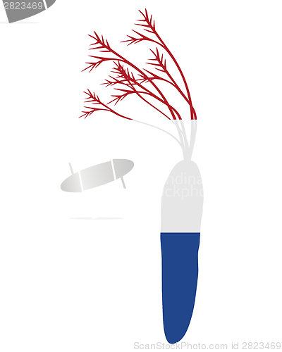 Image of Dutch carrot