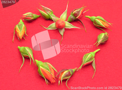 Image of Rose buds arranged as heart on red felt