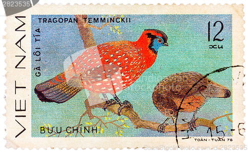 Image of Stamp printed in Vietnam shows Tragopan temminckii or Temminck's