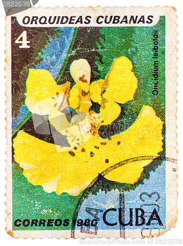 Image of Stamp printed in the Cuba shows Oncidium Leiboldii, Orchid