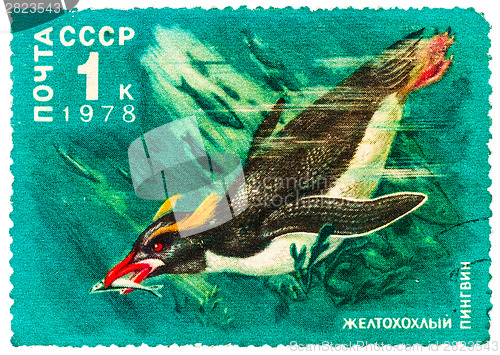Image of Stamp printed by Russia, shows Crested penguin