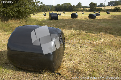 Image of Hay bales